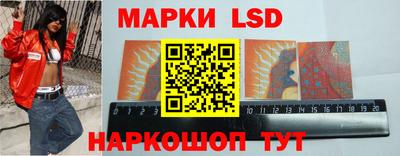 молекула духа Будённовск