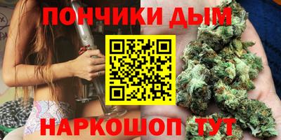 молекула духа Будённовск