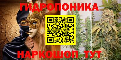 молекула духа Будённовск