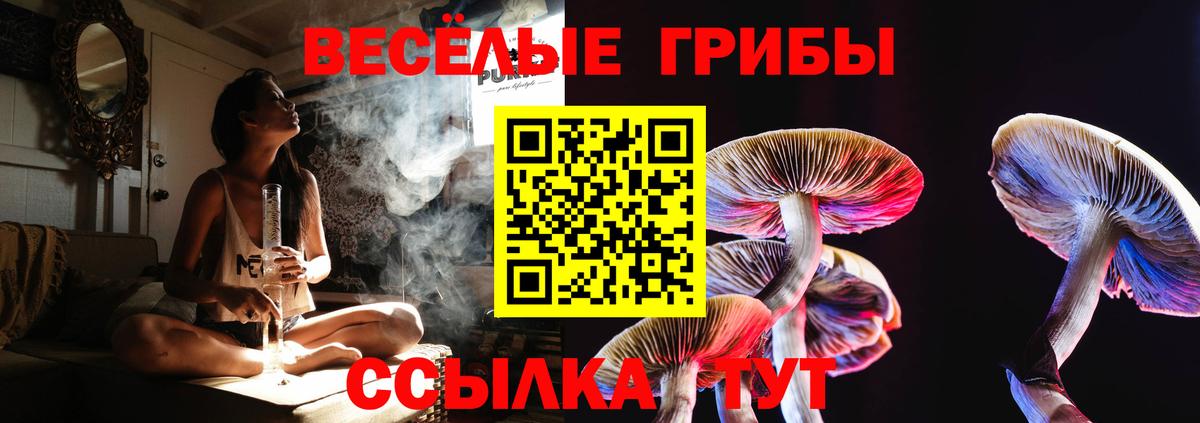 Псилоцибиновые грибы MAGIC MUSHROOMS Нововоронеж